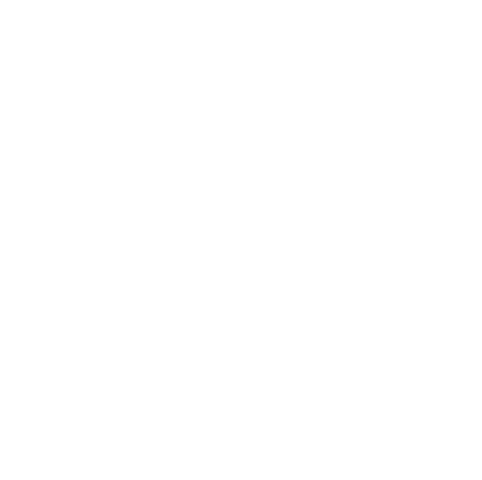 Scooter Workshop